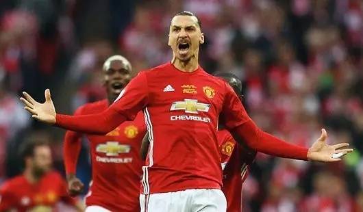 都往往反映 都往往反映